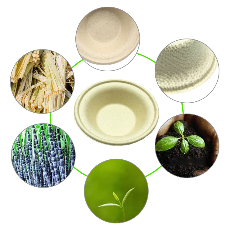 Biodegradable Takeaway Food Containers, Restaurant Disposable Sugarcane Soup Bowl, Noodle Bowl