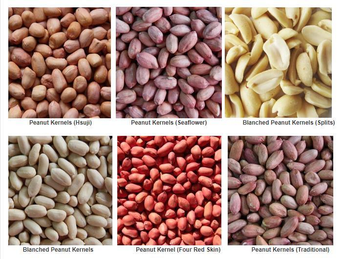 Popular Peanut Husks Exported to Roasted Peanuts