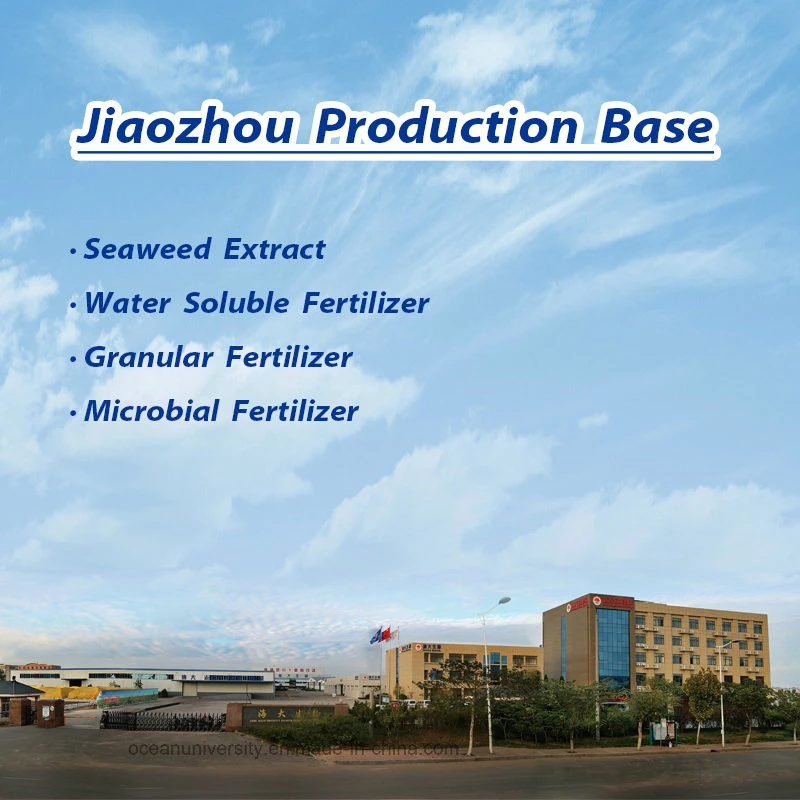 Seaweed Compound Granular Fertilizer with Seaweed Extraction