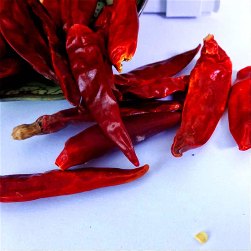 New Crop Frozen Red Chilies for Sause Viegnam with Good Taste and Competitive Price