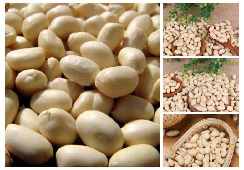 Blanched Peanut/Peanuts White Peanut Kernel for Sale