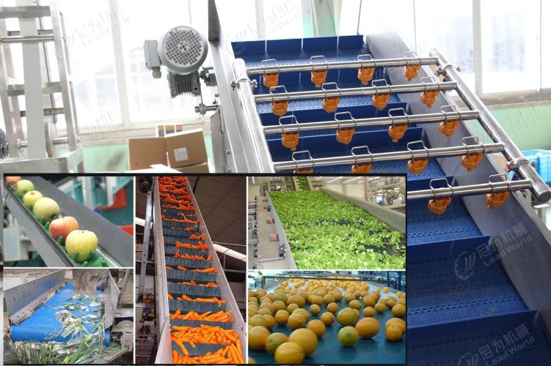 High Quality and Best Price Cleaner Washing Machine for Salad Vegetable Fruit/Used for Washing Potatoes and Tomatoes