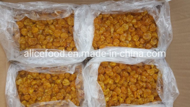Export Bulk Dried Physalis Whole Shape Sweet and Sour Snack Physalis