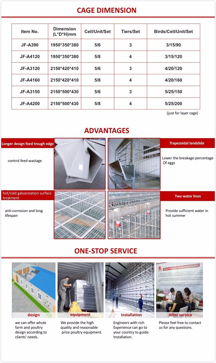 Automatic Poultry Chicken Cages for Layer Chicken