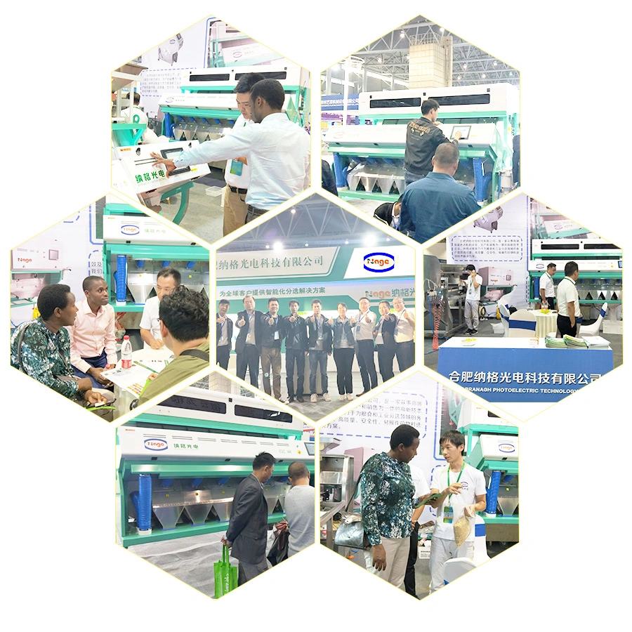 Soybean Mung Bean Color Sorter Machine Red Bean Color Sorter Machine Sorting Machinery