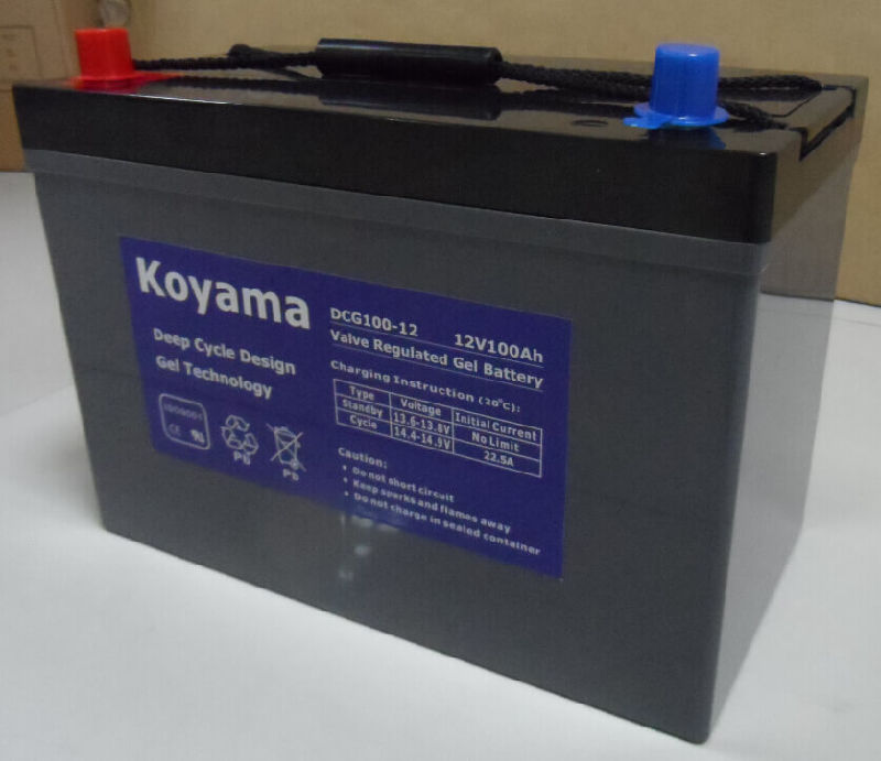 12V100ah Deep Cycle Maintenance Free Battery with Gel or Lead Acid Ce UL Approved