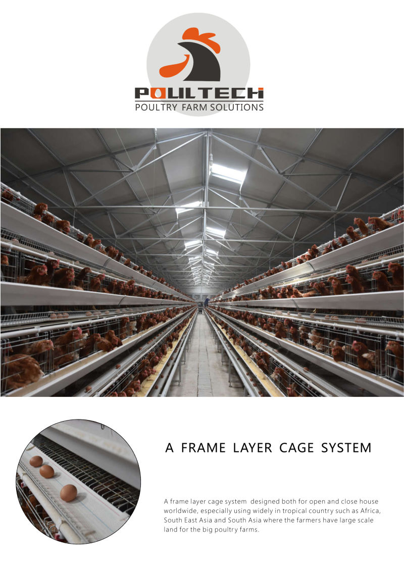 a Type Layer Cage with Fully Automatic Equipment for Chicken Farms