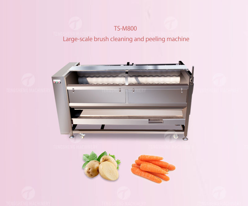 Large-Scale Sweet Potato Cleaner Potato Peeling Machine (TS-M800)