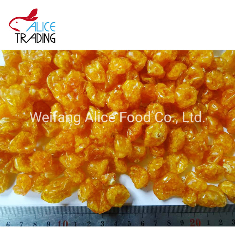 Export Bulk Dried Physalis Whole Shape Sweet and Sour Snack Physalis