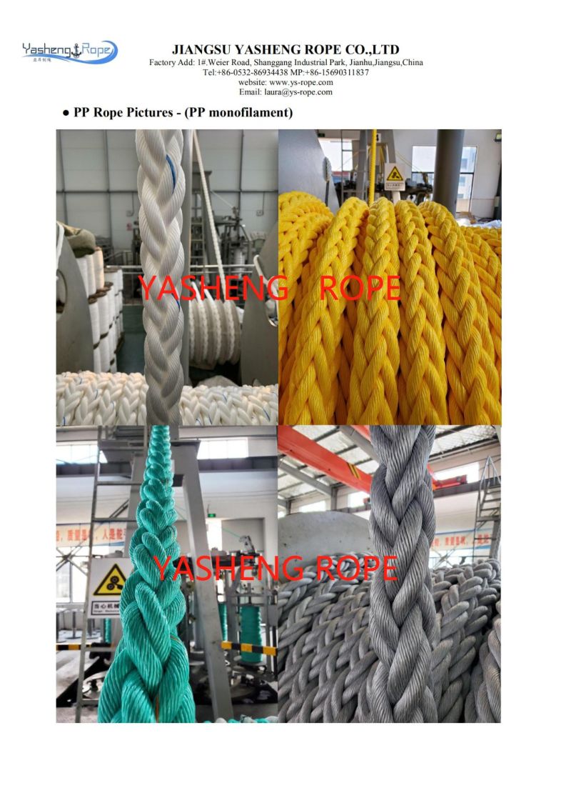 8 Strand Mixed PP&Pet Mooring Rope with High Strength