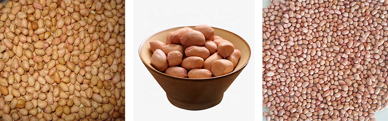 Premium Bold Peanuts / Blanched Peanuts Java Peanuts