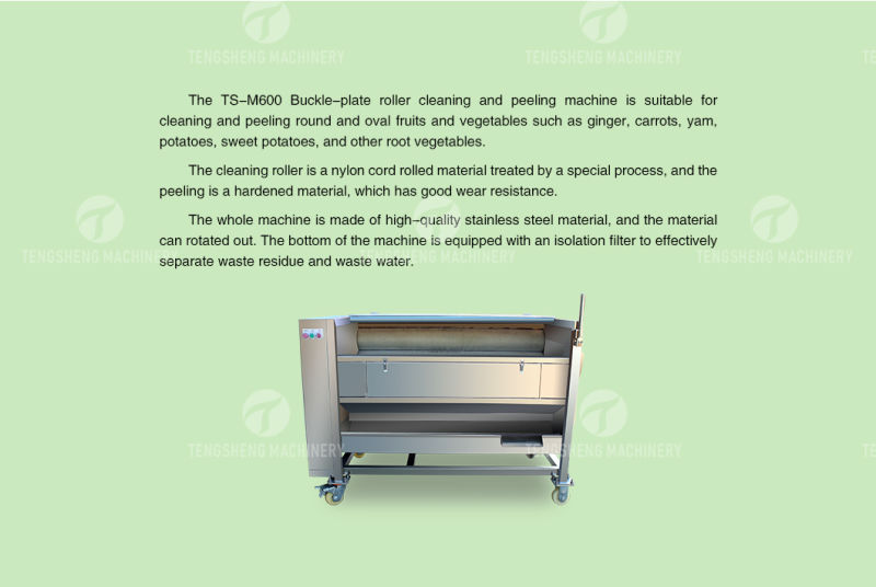 Industrial Potato Brush Washing and Peeling Machine Sweet Potato Lotus Root Washer and Peeler (TS-M600)