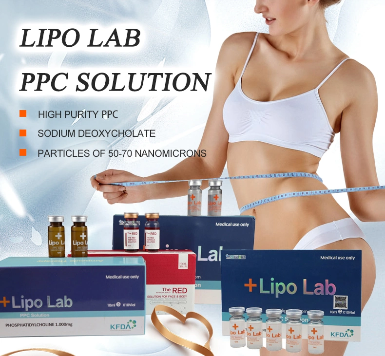 Korea Body Slimming Injection Lipo Lab Ppc Lipolytic Solution Lipolysis Injection for Fat Dissolve