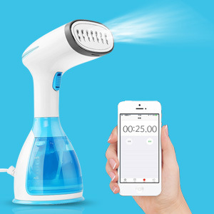 Chinese Portable Fast Heat-up Handheld Garment Steamer Iron Wholesale Factory