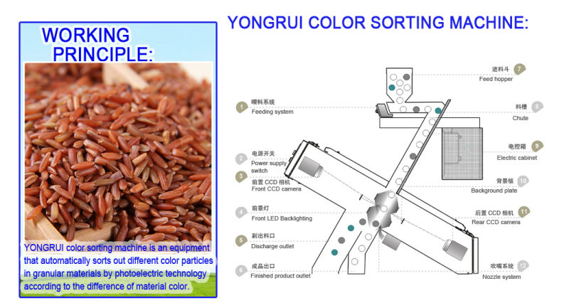 Automatic Black Rice Red Rice Brown Rice Color Sorting Machine Rice Color Sorter