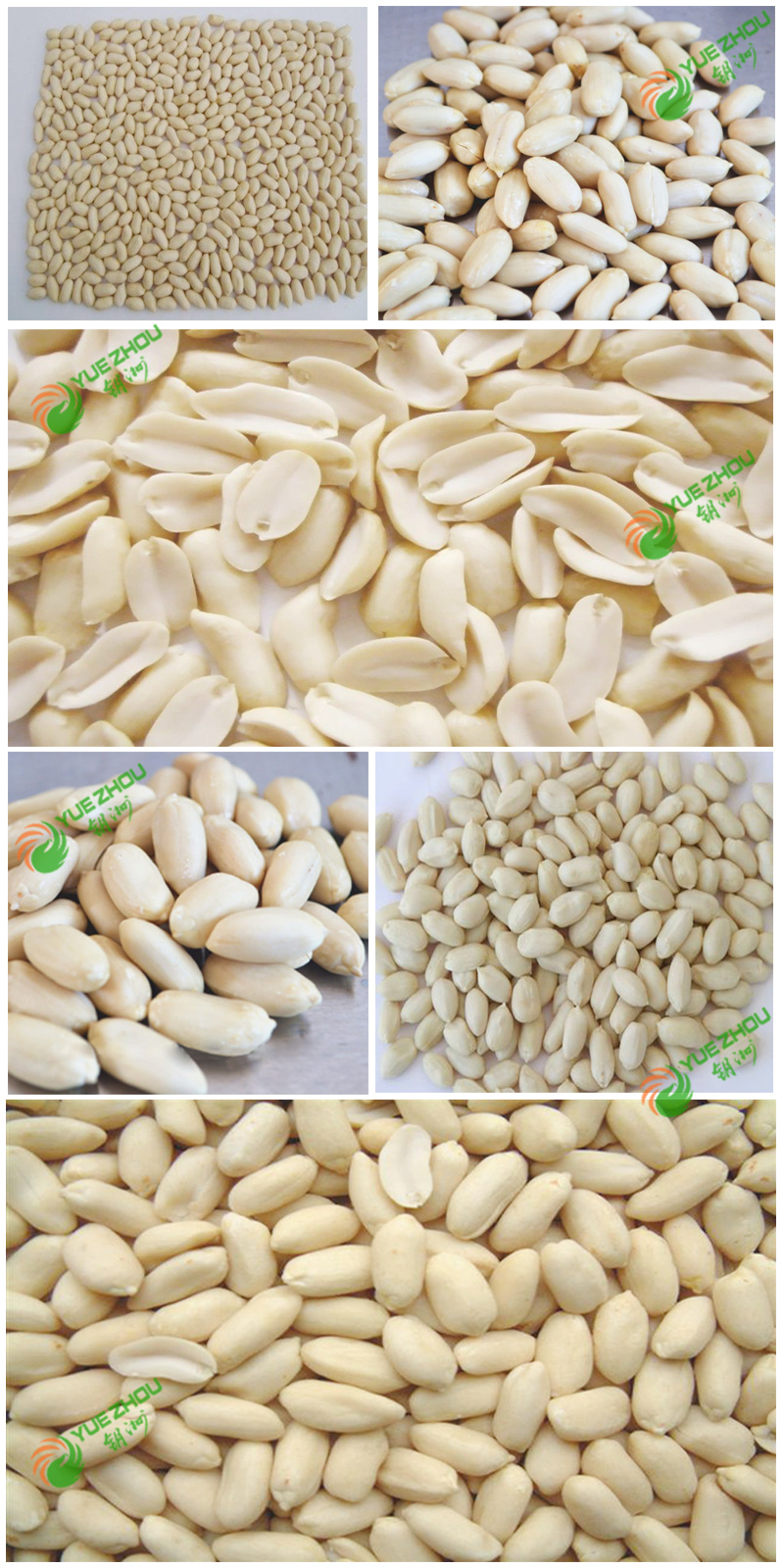 Tasted Spicy Peanut Kernels From Shandong for Hot Sell