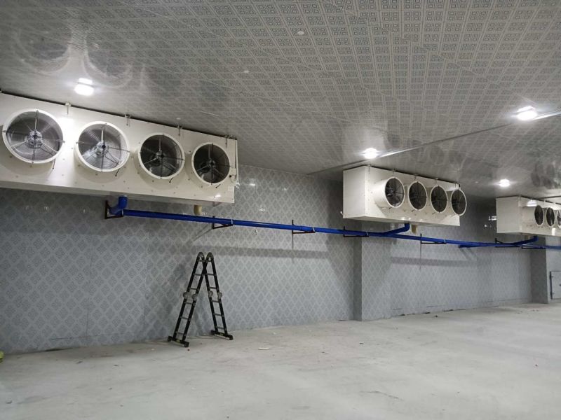 White Powdered Galvanized Steel Evaporator Air Cooler for Potato Cold Storage Room
