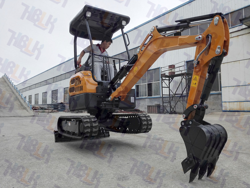 Chinese Brand Mini Excavator for Hot Sales
