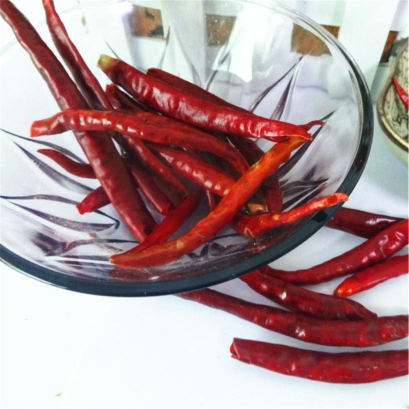 New Crop Frozen Red Chilies for Sause Viegnam with Good Taste and Competitive Price