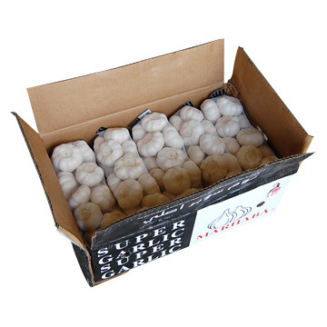 Fresh New Crop Chinese Wholesale Premiun Chinese Fresh Garlic