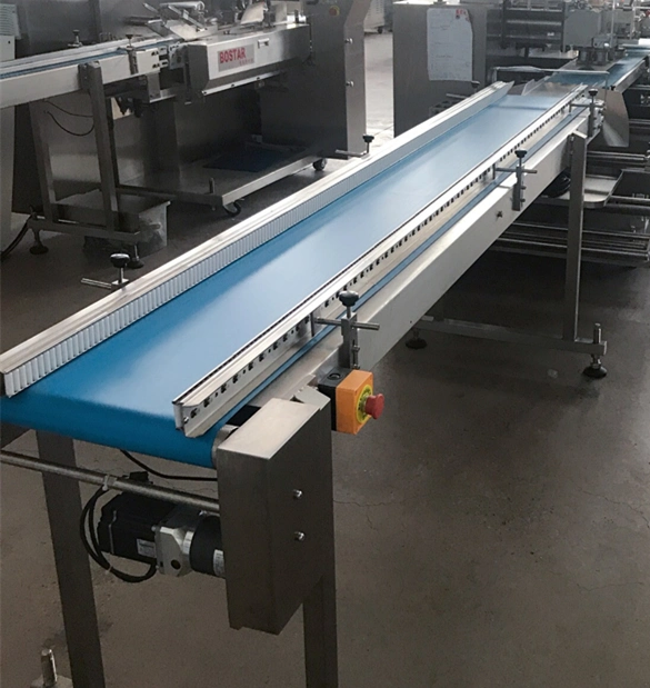Automatic Flow Packing Equipment for Vegetables/Fresh Noodles/Chapati Food/Cake