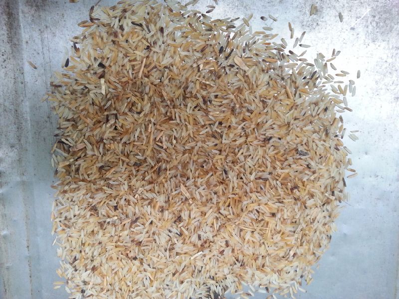 Intelligent Multifunction Rice Sorting Machine for Sorting Rice/ Red Rice and Black Rice
