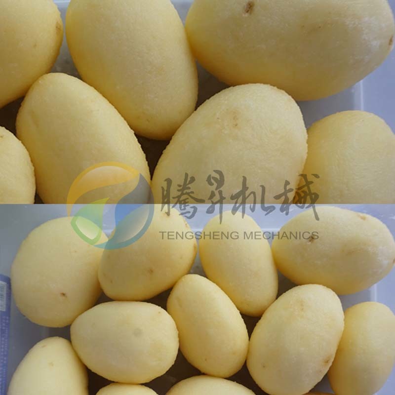 Small Scale Automatic Food Processing Machinery Potato Taro Sweet Potato Peeling and Cleaning Machine (TS-P10)