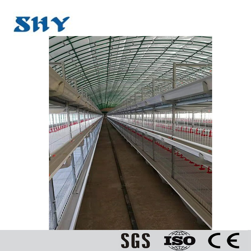 Automatic Layer Chicken Cage Livestock Machinery with Drinker System
