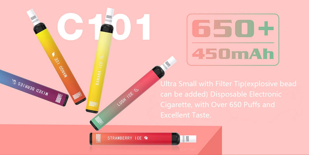 New 650 Puffs E-Cigarette OEM Disposable Best Gift Electronic Cigarette