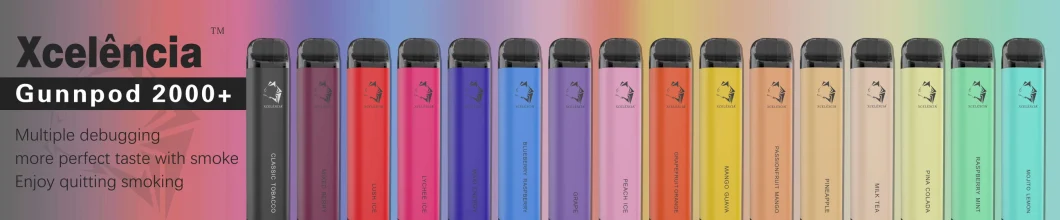 China Gunnpod Disposable Vape 2000puffs with Disposable Filter Wholesale