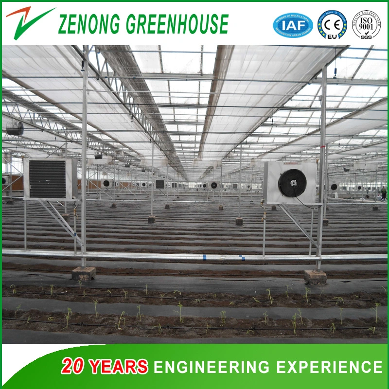 PC Board Covering Large Greenhouse with Misting System/Shading System/Heating System/Cooling System