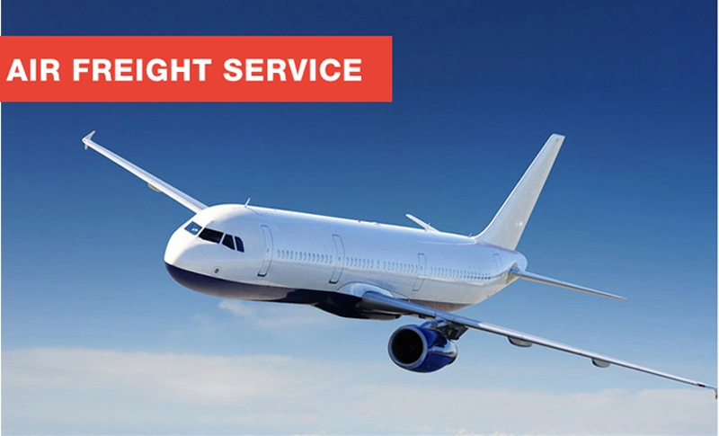 Professional Air Freight Express Forwarder Agent Shipping to United Kingdom EU