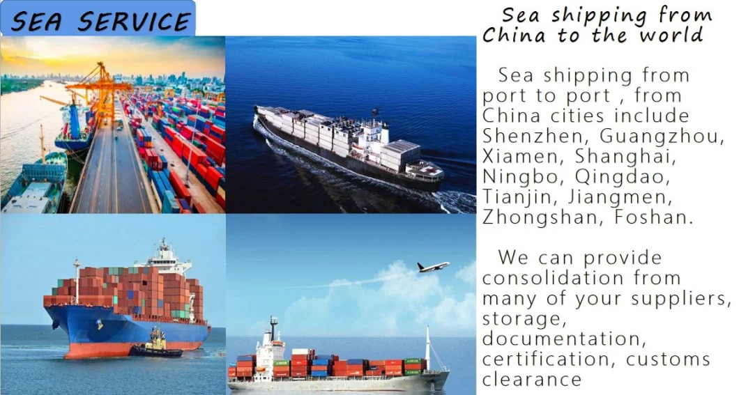 Freight Forwarder LCL Sea Shipping Agent From China to United Kingdom