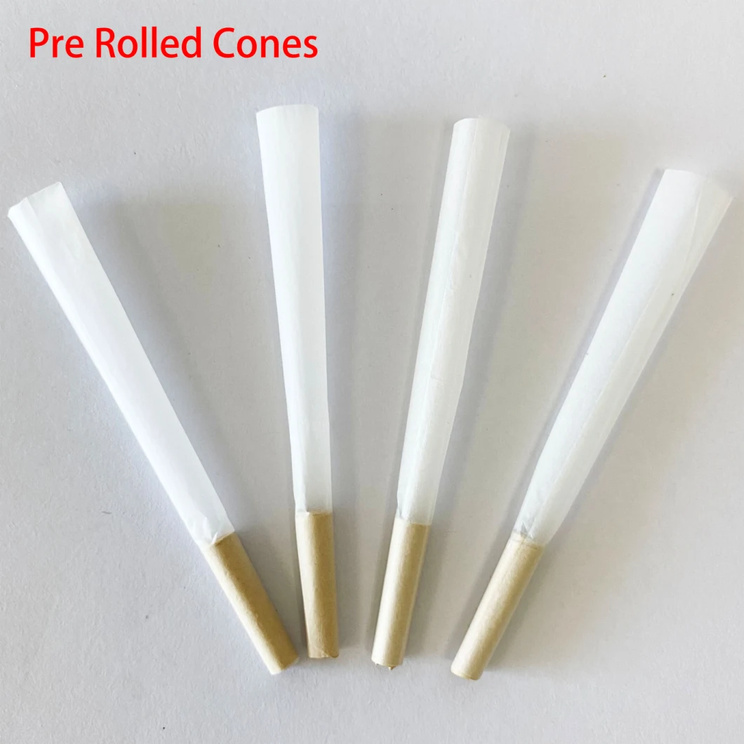Hotvsale Pre-Rolled Cone with Filter Tips Custom Logo Cone Smoking Rolling Paper with Filter Tips