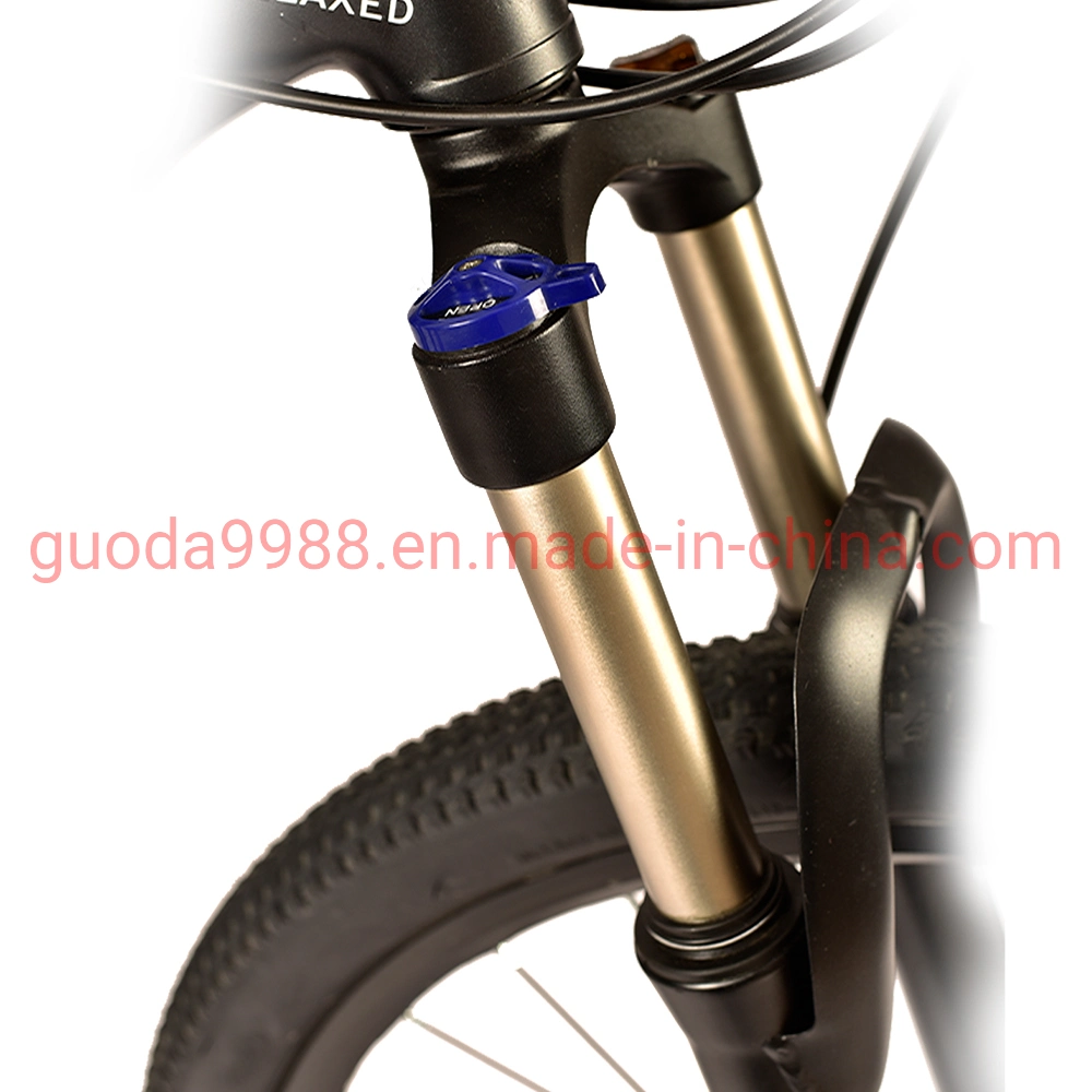 Online Bike Sales Store Alloy Steel Suspension Mountain Bicycle