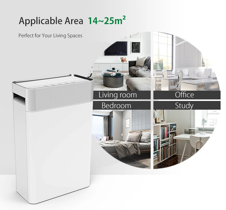 Family Use Smoking Room Air Purifiers with HEPA Carbon Filters