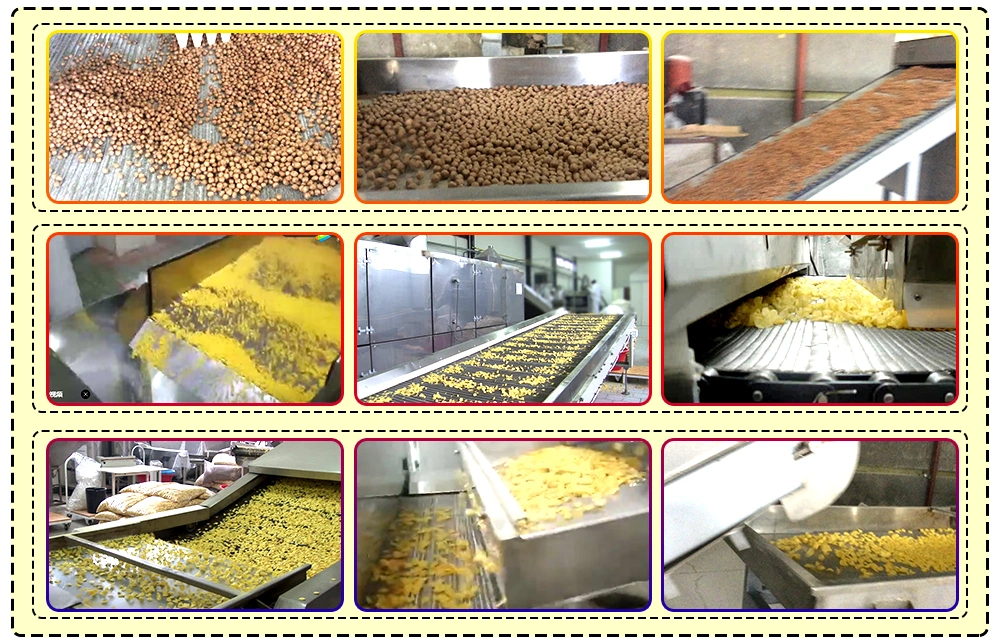 300kg/H Continuous Bulk Kelloggs Corn Flakes Making Machine Price/Production Process Line China Suppliers