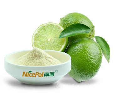 Natural Spray Dried Lemon Fruit Powder / Lemon Juice Powder / Lemon Drink Powder