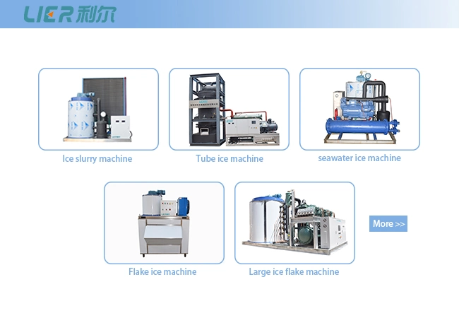 1t/Day Salt Water Small Rake Systems Poultry Flake Ice Flake Plant Machine