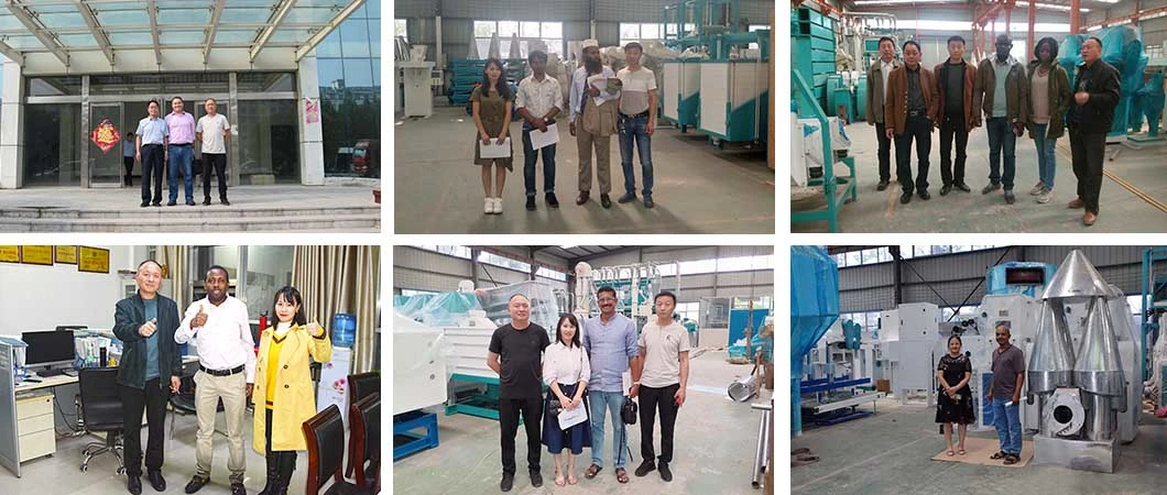 Efficient Household Grinding Machine Powder Corn Grinding Machine Corn Grinding Mill Machine Power Food Technical Sales