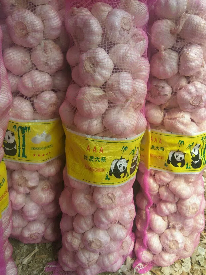 Fresh Size 5-6cm 5kg Mesh Bag Package Normal White Garlic