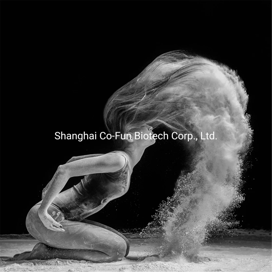 China′ S Mica Manufacturer Talc Powder Factory Price