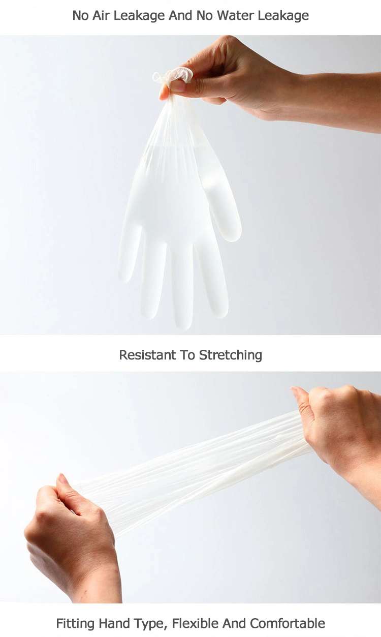 PVC Gloves 100 PCS/Box Disposable Examination Vinyl Powder Free PVC Gloves Disposable Transparent