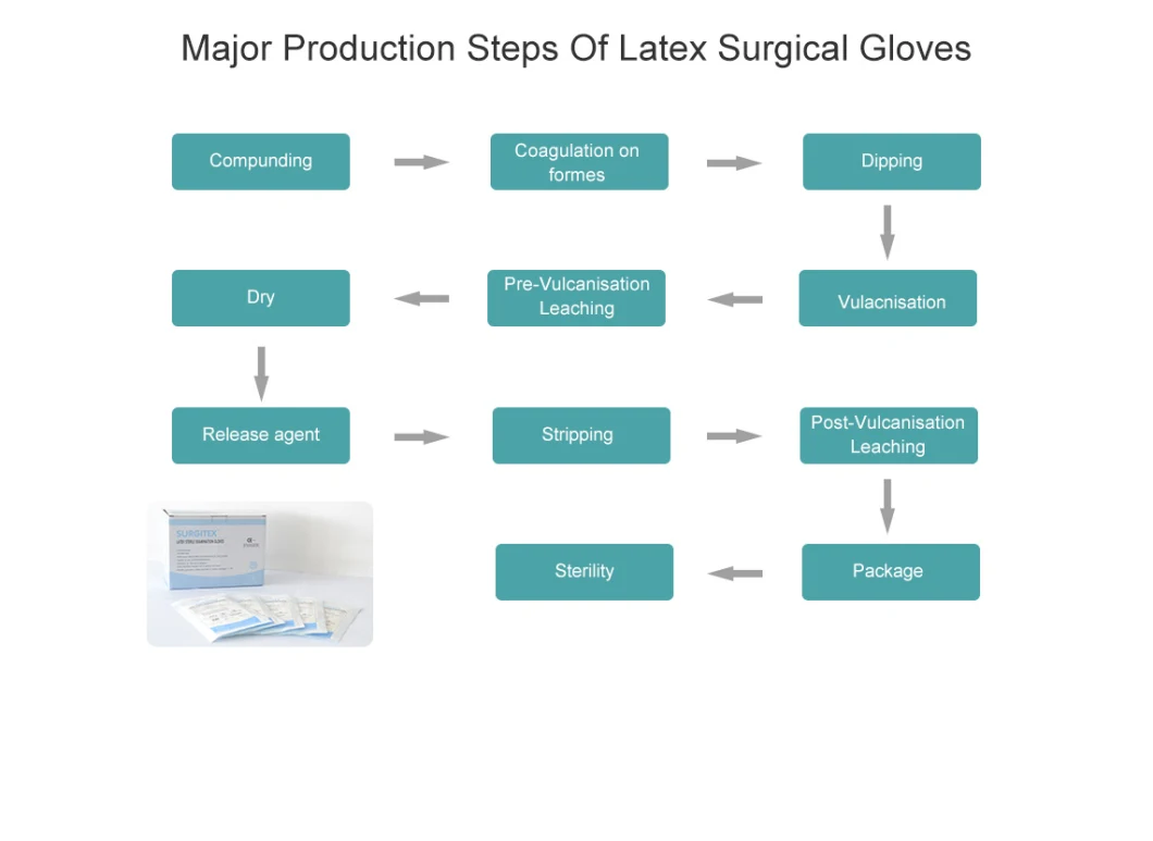 Latex Examination Gloves/Disposable Latex Gloves Medical Consumables