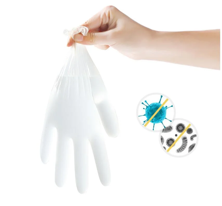 Safety Disposable Transparent PVC Hand Gloves in Stock Household Cleaning Cooking Protection Gloves