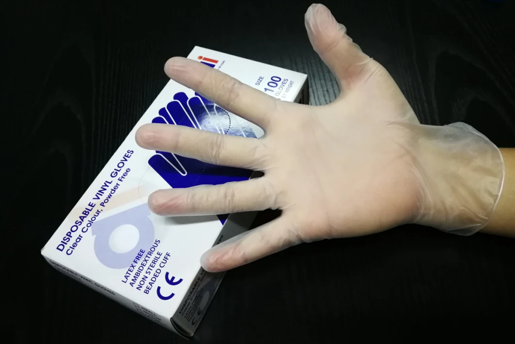 Clear Vinyl Gloves-4 Mil, Latex Free, Powder Free, Disposable, Non-Sterile, Large