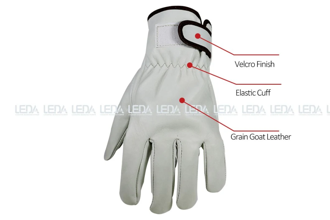 Double Palm Abrasion Resistant Goat Grain Leather Driving Gloves