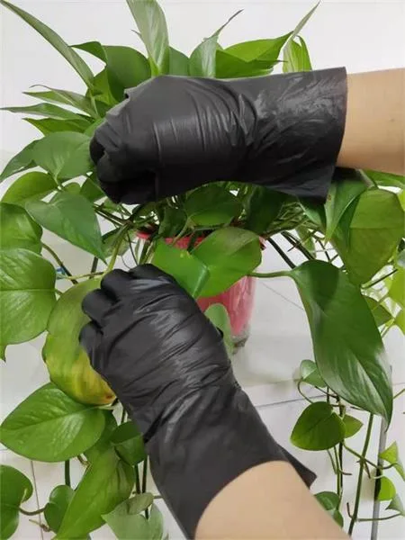 Food Grade TPE Disposable Gloves Black Color Plastic Hand Safety Gloves for Hamburger
