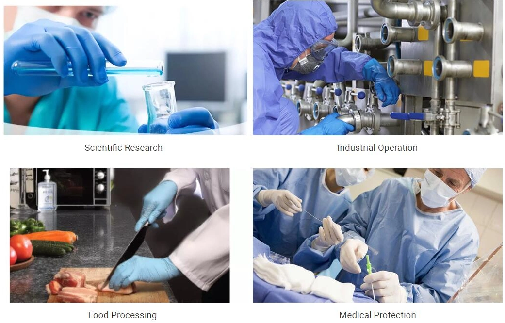 Customizable Disposable Nitrile Latex Gloves Examination Gloves