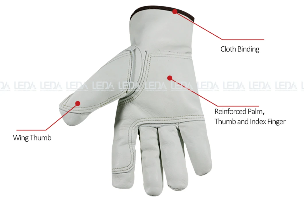 Double Palm Abrasion Resistant Goat Grain Leather Driving Gloves